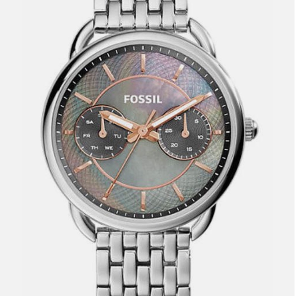Fossil Women's ES3911 Stainless Steel Bracelet Watch